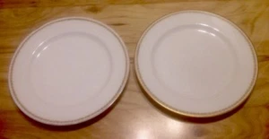 2 PLATOS DE ALMUERZO HAVILAND LIMOGES FRANCE SCHLEIGER 573 PATRÓN - Imagen 1 de 3