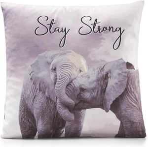 Funda Cojín Elefante Estampado Terciopelo Suave MANTENTE FUERTE 45cm x 45cm - Imagen 1 de 1