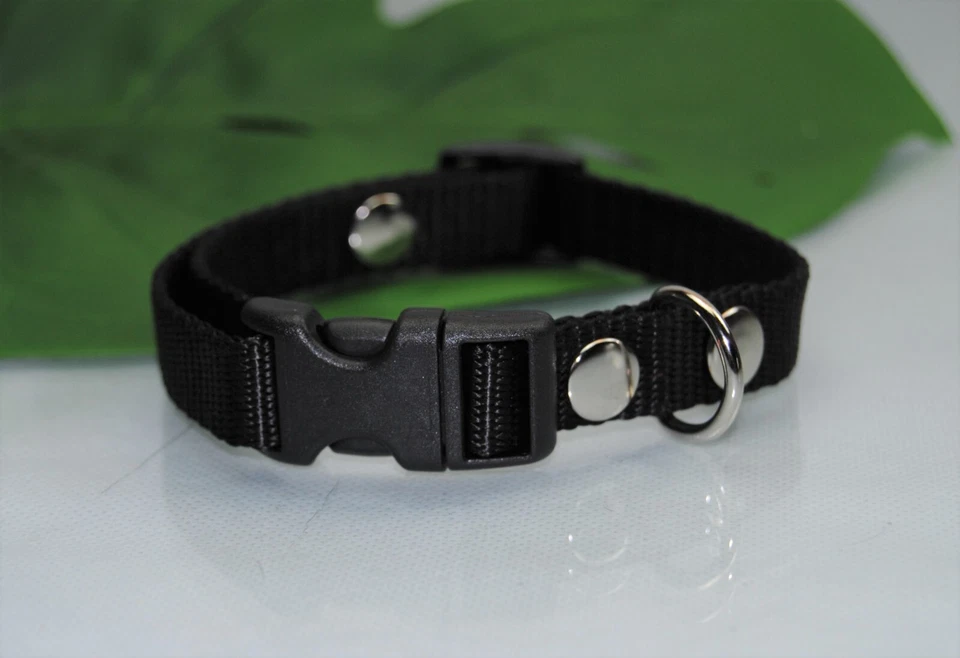 Halsband Nylon 15mm SCHWARZ Jack Russel Chihuahua Welpenhalsband Collie Malteser - Bild 1 von 1