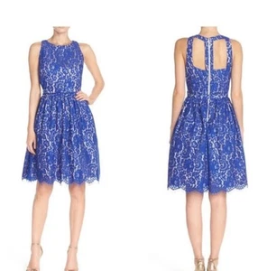 Eliza J Swept off Your Feet Lace Dress Skater Flare belt Scalloped Blue size 6P - Picture 1 of 9