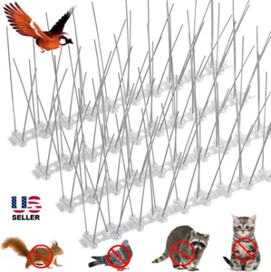 4× Bird Spikes for Small Birds Pigeons Repellent 10 Feet /12 Strips Fence Spike - Picture 1 of 20