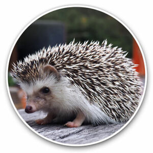 2 x Vinyl Stickers 7.5cm - Adorable Cute Hedgehog Animals Cool Cool Gift #8301