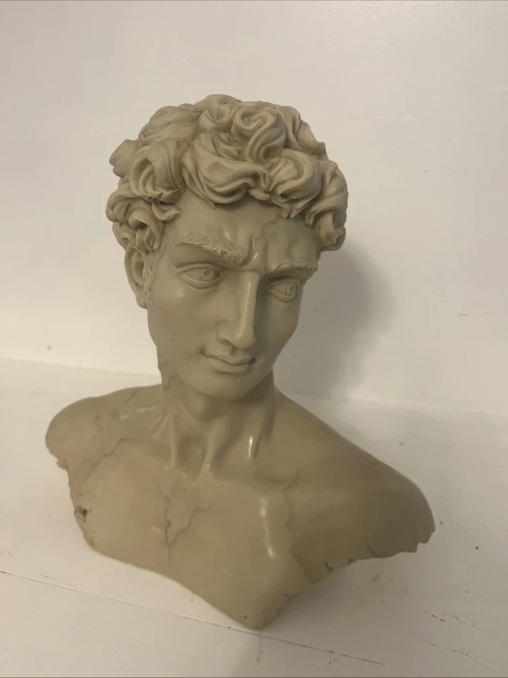 Busto Miguel Ángel’s David Estatua De Colección Hecha a Mano Estilo Mármol Decoración De Colección Foto 1 de 4