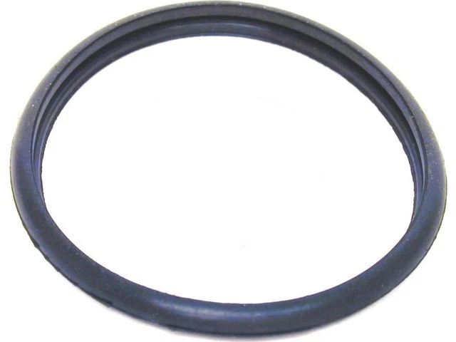 Junta tórica termostato piezas APA/URO para Jaguar XJ8 1998-2003 93TDGW Foto 1 de 1