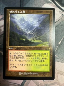 Wooded Foothills Retro Frame MH3 MTG JPN Modern Horizons3 NM - Picture 1 of 2