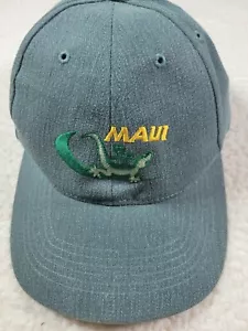 Maui Ballcap mit bestickter Eidechse von Hawaiian Headwear Strapback grau - Bild 1 von 6