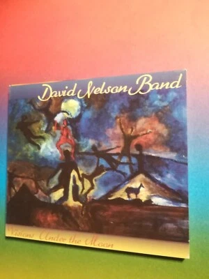 David Nelson Band/Visions Under The Moon CD Digipak/1607 - Bild 1 von 4