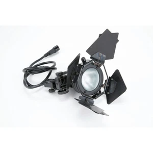 250 Watts Lowell Pro-light w/Barn Doors - Picture 1 of 3