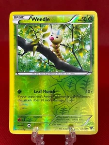 Pokémon TCG Weedle XY Base Set 3/146 Reverse Holo Card 2014 English LP - Picture 1 of 2