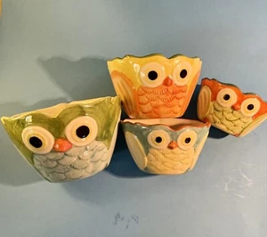 Pier 1 Imports Set of Four Hand Painted Stoneware Owl Nesting Measuring Cups - Picture 1 of 9