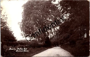 DORMANSLAND SURREY BUCHE HAMMELHÜGEL ECHTFOTO VINTAGE POSTKARTE - Bild 1 von 2