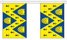 3 Metres 10 (9" x 6") Flag Flags Shropshire New Polyester Material Bunting