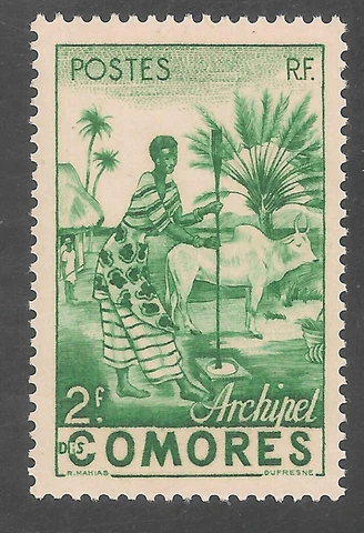Comoro Islands #33 (A3) VF MINT LH - 1950 2fr Comoro Woman Grinding Grain Cover