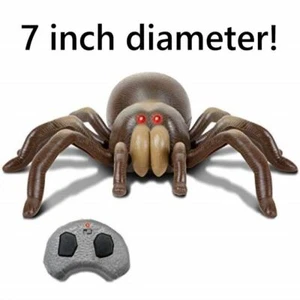 Discovery Giant 7" Radio Controlled Tarantula - Picture 1 of 3