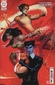 CHEETAH AND CHESHIRE ROB THE JUSTICE LEAGUE #3 COVER C NOOBOVICH CARD STOCK VARI - Picture 1 of 1