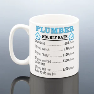 PLUMBER MUG Birthday Gift Funny Apprentice Work Cup Him Men Qualified Christmas - Picture 1 of 2
