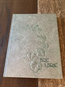 1981 PRINCETON UNIVERSITY YEARBOOK BRIC-A-BRAC Sports Clubs Candids Collectible - Picture 1 of 12
