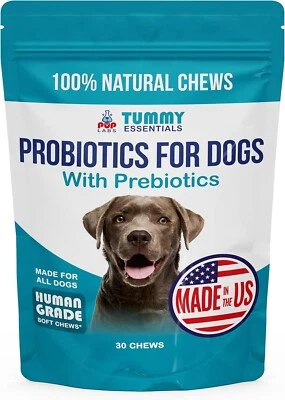 Tummy Essentials Probiotic Chews for Dogs, Supports Gut Health for Dogs (30 Ct) - Image 1 of 4