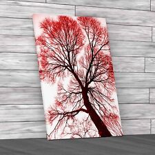 Exploring The Intricate Veining Patterns Red Canvas Print Large Picture Wall Art