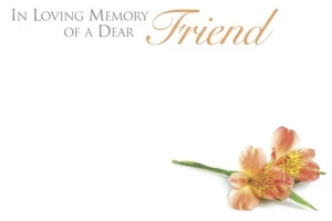 ShredAstic® IN LOVING MEMORY FRIEND small FUNERAL Florist Message Cards 6x9cm - Picture 1 of 15