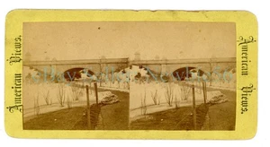 New York City NYC - BOW BRIDGE IN WINTER - CENTRAL PARK - c1870s Stereoview - Picture 1 of 2