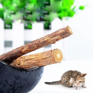 5x Pet Chew Stick Natural Matatabi Catnip Cat Molar Grinding Claws Treat Toy.R1