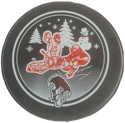 BINGHAMTON SENATORS AHL OFFICIAL SPONSORED PUCK LINDSAY MFG. MADE IN CANADA 🇨🇦 Cover