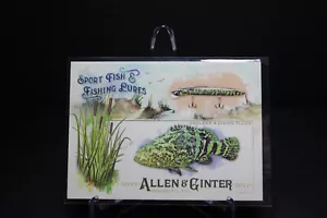 2017 Topps Allen & Ginter CERNIERE & SPINE SUBACQUEE SPORT PESCE & ESCHE DA PESCA - Foto 1 di 1