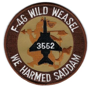 DESERT STORM  3552ND TAC FIGHTER  SQUADRON(PROVISIONAL) patch - Picture 1 of 1