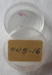 NOS New Citizen 945-16 945 16 Lower Cap Jewel for Escape Wheel - Picture 1 of 1