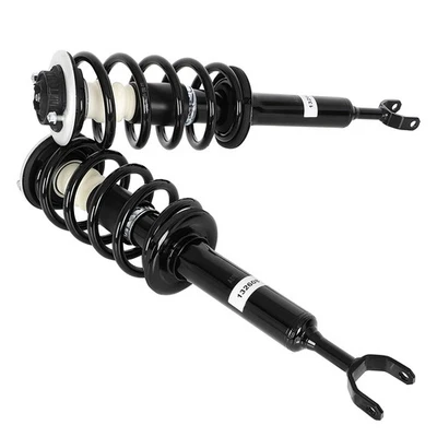 For 2001-2005 Volkswagen Passat 11271,11272 Front Strut & Shock Spring Assembly Foto 1 de 4