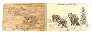 Cartolina d'epoca in legno Parco Nazionale dell'Acadia e del Ghiacciaio - Foto 1 di 5