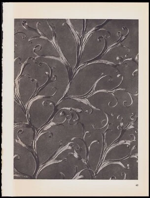 1942 Blossfeldt Wunder in der Nature Fotograbado Delphinium Rittersporn #40 Foto 1 de 3