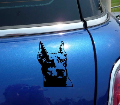 DOBERMAN PINSCHER HEAD PORTRAIT DOG FUNNY DECAL STICKER ART CAR WALL DECOR - Image 1 of 3