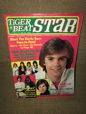 Vintage October 1977 Tiger Beat Star Magazine Bay City Rollers Star Wars **