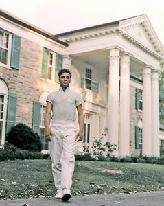 Elvis Graceland 10" x 8" Photograph no 6 - Picture 1 of 1