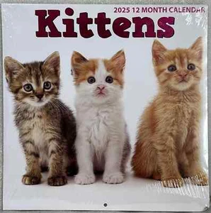 2025 Wall Calendar KITTENS 12 Months Calendar 12” X 24” When Opened NEW 3 CATS - Picture 1 of 4