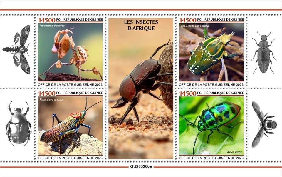 African Insects MNH Stamps 2023 Guinea M/S - Image 1 of 1