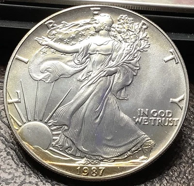 1987 Silver American Silver Eagle ASE 1oz .999 Silver Lightly Toned Gem BU - Image 1 of 3