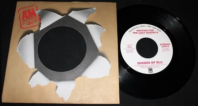 Shades Of Blu-Waiting For The Last Goodbye-Stereo/Mono-A&M 1754-VTG '75 WLDJ-NM! - Image 1 of 2