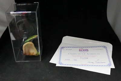 TY Beanie Baby Flutter 1st Generation Excellent Becky's True Blue Beans - Image 1 of 4