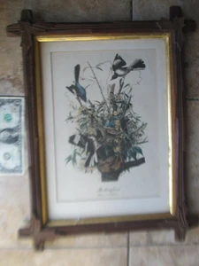 GRANDE 1860 Período de la Guerra Civil, Marco de Hoja de Arce Antes de la Guerra CON BONITA IMPRESIÓN DE PÁJAROS - Imagen 1 de 9