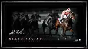 BLACK CAVIAR SIGNED FRAMED LIMITED EDITION RECORD BREAKER PRINT NOLEN MOODY WINX - Bild 1 von 1