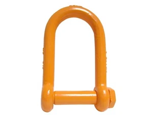 Grillete de largo alcance con pasador de tornillo de 1" (WLL 9,5 toneladas) accesorio de elevación de anillo en D - Imagen 1 de 4