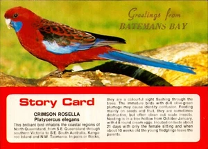 Batemans Bay Crimson Rosella Postcard. Vintage 80s 1986 Old Australia - Picture 1 of 2