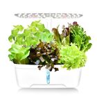 272415Cm Hydroponic Machine Household Soilless Cultivation Indoor Herb Garden