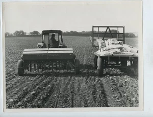 Foto de prensa Massey Ferguson tractor perforación trigo invierno 1970 - Imagen 1 de 2