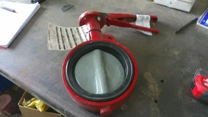 Neu Bray Controls 6 Zoll Absperrklappe/Wafer Ventil Edelstahl 175 PSI - Bild 1 von 8