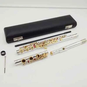 Flute 361 Engraving Hand Carved Keys Gold Plating Flutes Open Holes 17 Gold Keys - Bild 1 von 23