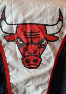 Champion Vintage Chicago Bulls Basketball Warmup Jacket & Pants 90's Size Small - Picture 1 of 16